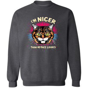 "I'M NICER THAN MY FACE LOOKS" CAT | SWEATSHIRT | SHIPS FREE FOR USA!