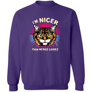 "I'M NICER THAN MY FACE LOOKS" CAT | SWEATSHIRT | SHIPS FREE FOR USA!