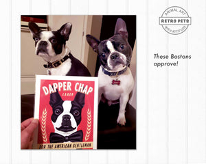 Boston Terrier Art | Dapper Chap Lager Art | Retro Pets Art