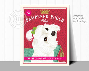 Maltese Art "Pampered Pooch" Art Print by Krista Brooks