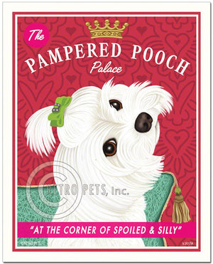 Maltese Art "Pampered Pooch" Art Print by Krista Brooks