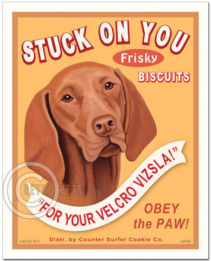Vizsla Art "Stuck on You" Faux Treat Art Print by Krista Brooks