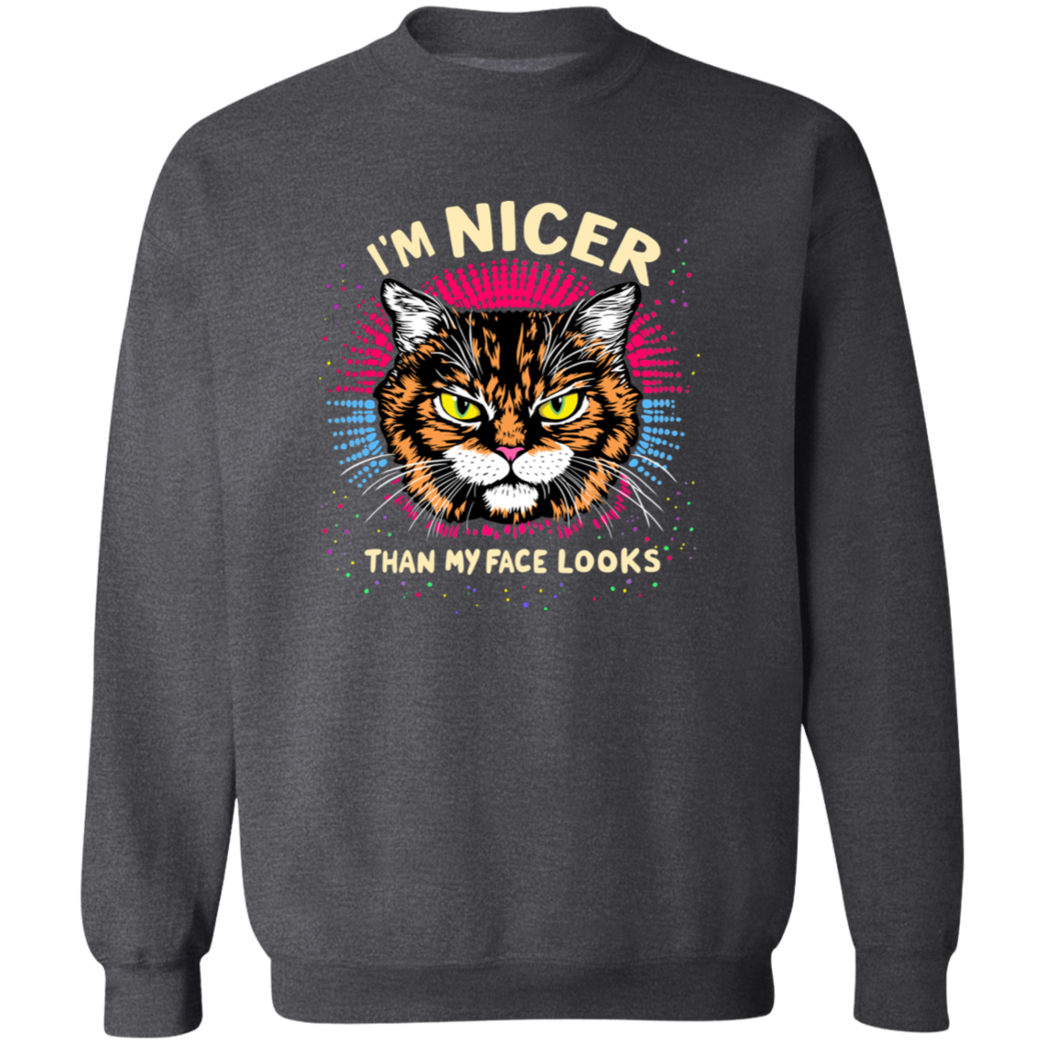 "I'M NICER THAN MY FACE LOOKS" CAT | SWEATSHIRT | SHIPS FREE FOR USA!