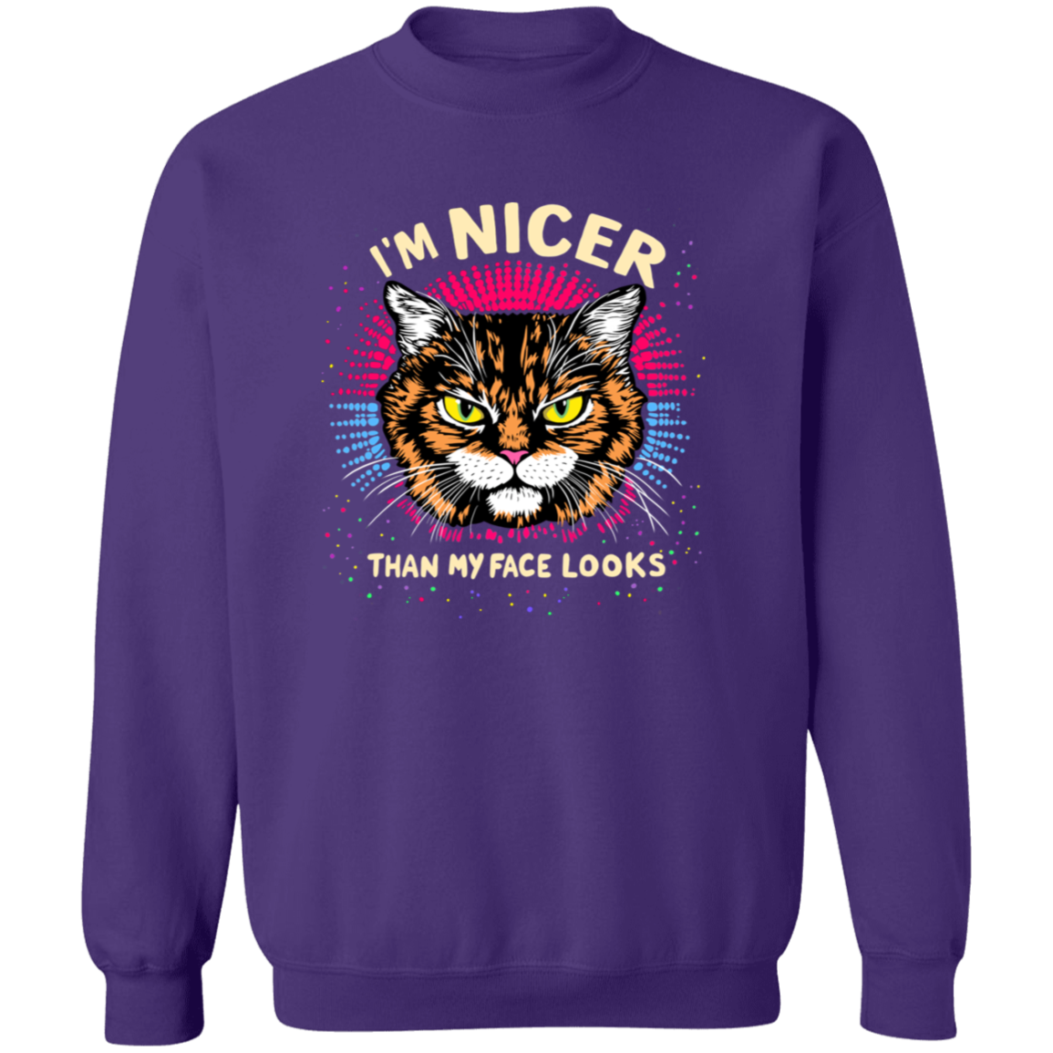 "I'M NICER THAN MY FACE LOOKS" CAT | SWEATSHIRT | SHIPS FREE FOR USA!