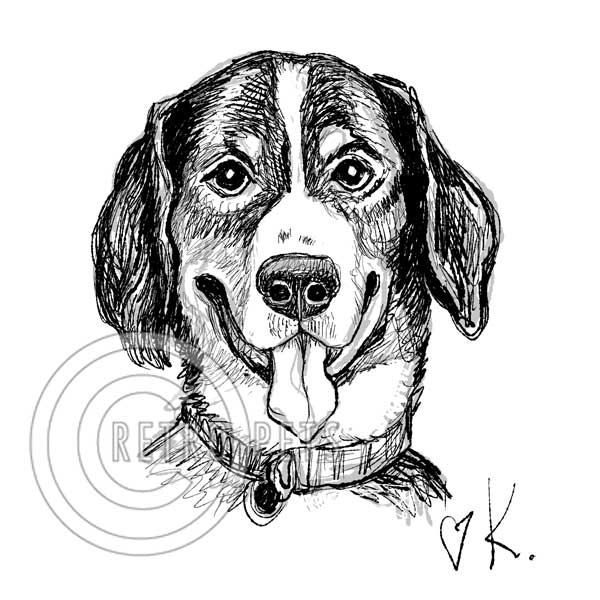 Pen-and-Ink PRINTABLES - Custom Art of YOUR pet!