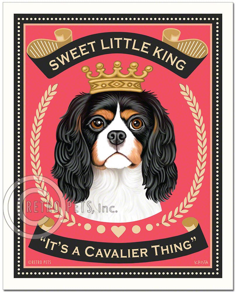 Owning a Cavalier King Charles Spaniel - Eye Envy Inc.