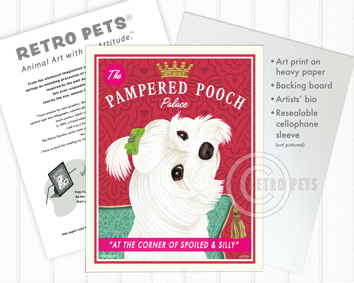 Maltese Art "Pampered Pooch" Art Print by Krista Brooks